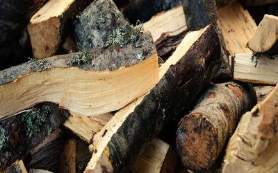 Legna da ardere per stufe e camini